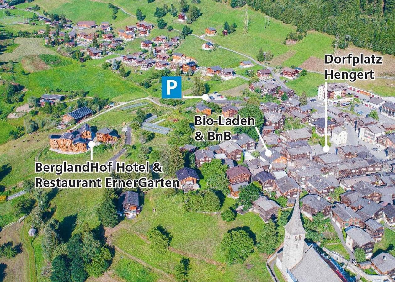 Berglandhof Hotel Ernen Екстер'єр фото
